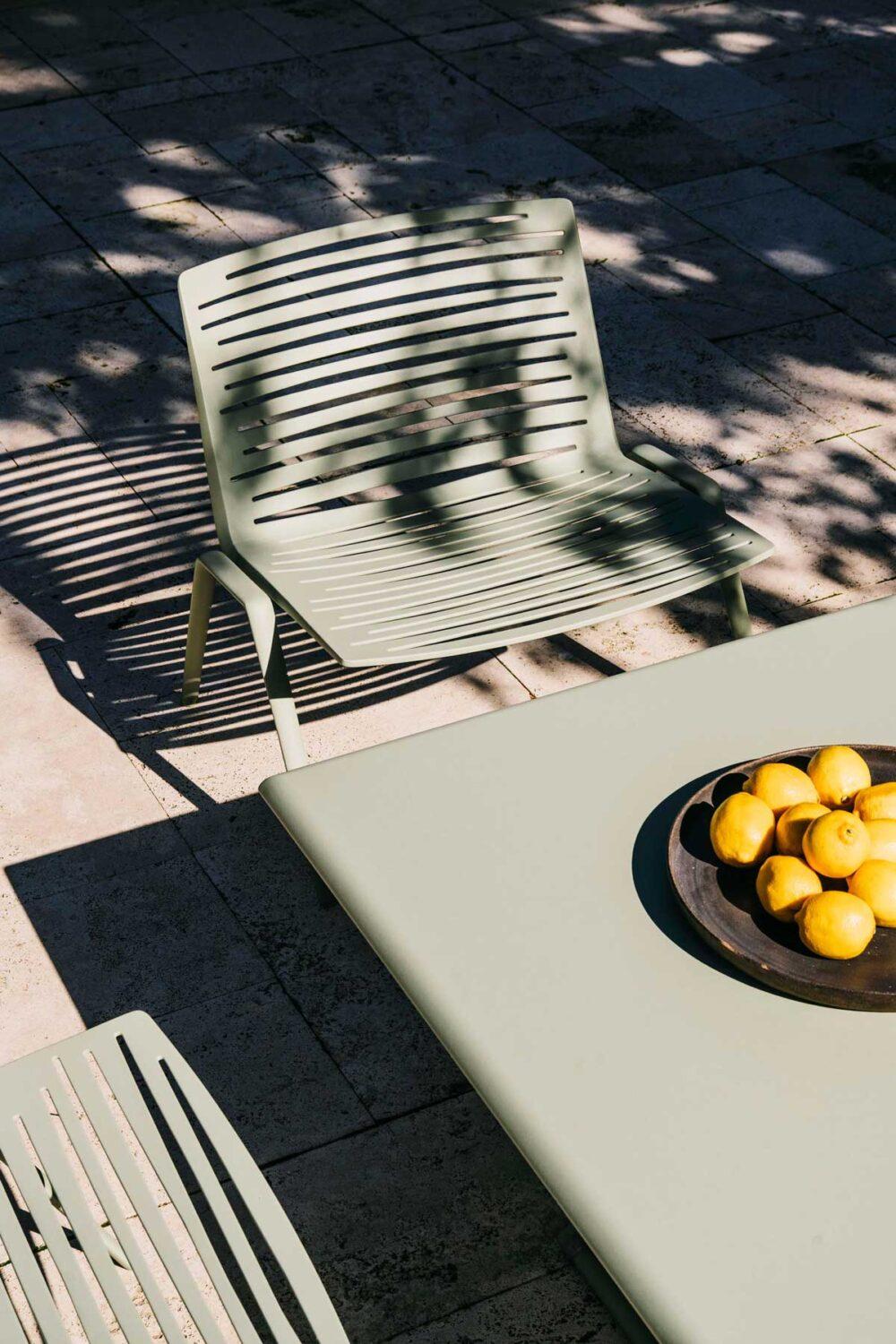 Fast Zebra - Image 4