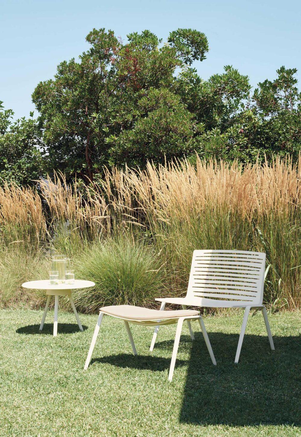 Fast Zebra - Image 7