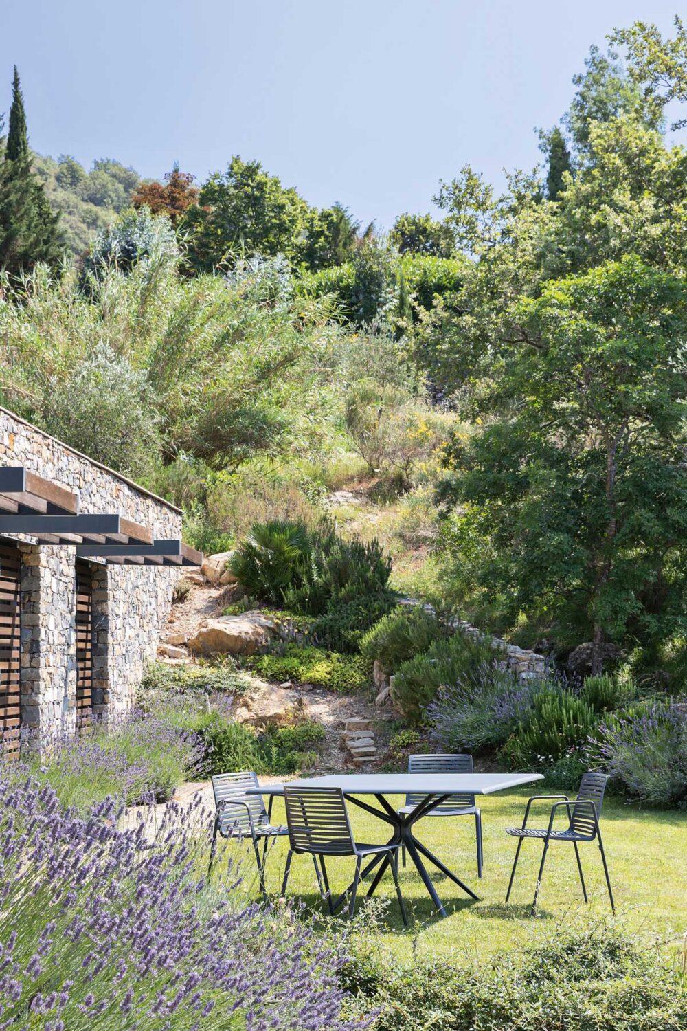 Fast Zebra - Image 2