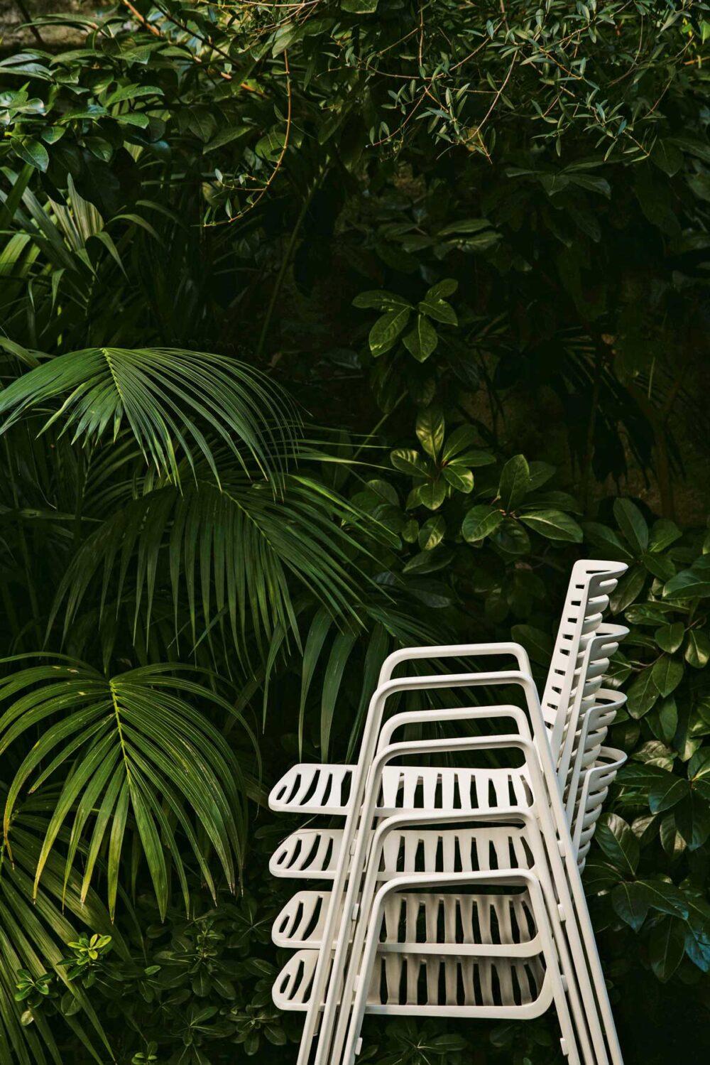 Fast Zebra - Image 6