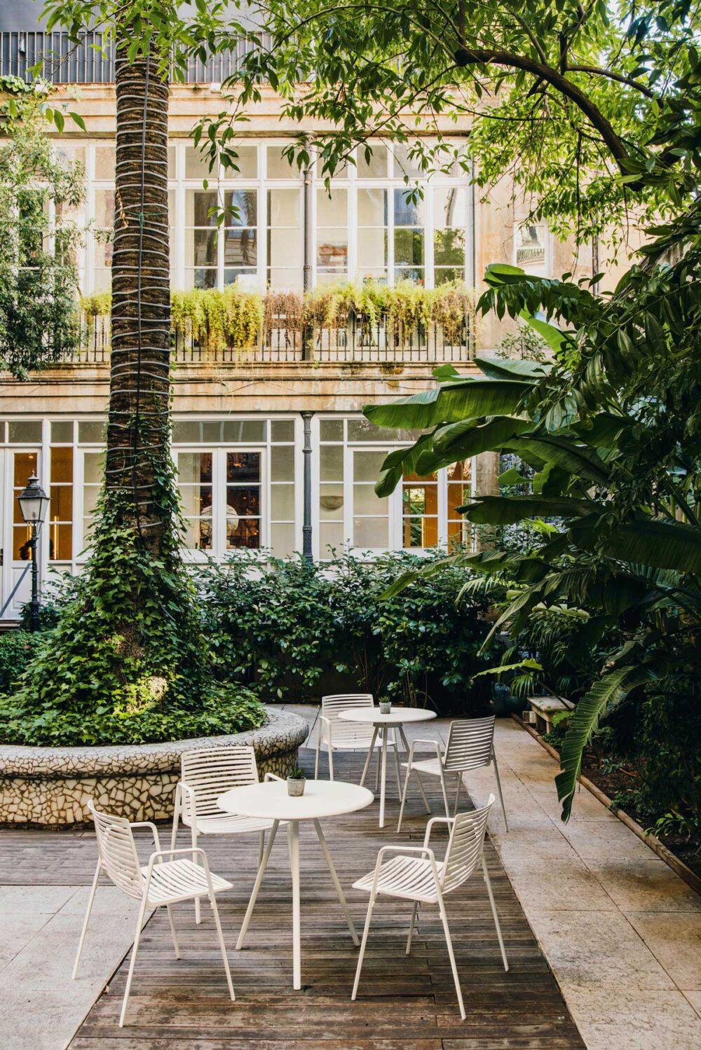 Fast Zebra - Image 5