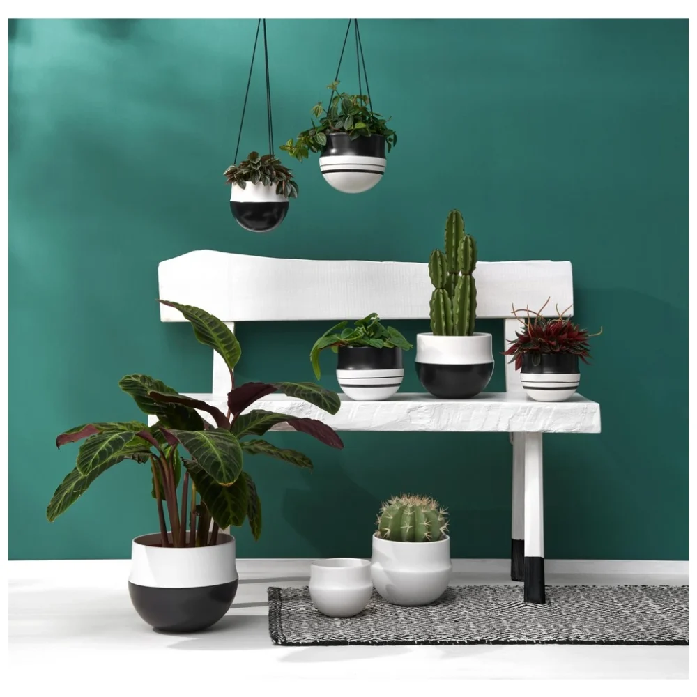 Lonec Mabou Ø16 - Image 2