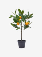 Umetna lončnica - mandarina