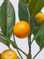 Umetna lončnica - mandarina - Image 2