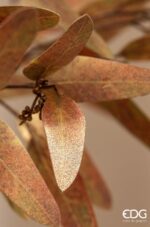 EDG Vejica bakren evkaliptus 82 cm - Image 4