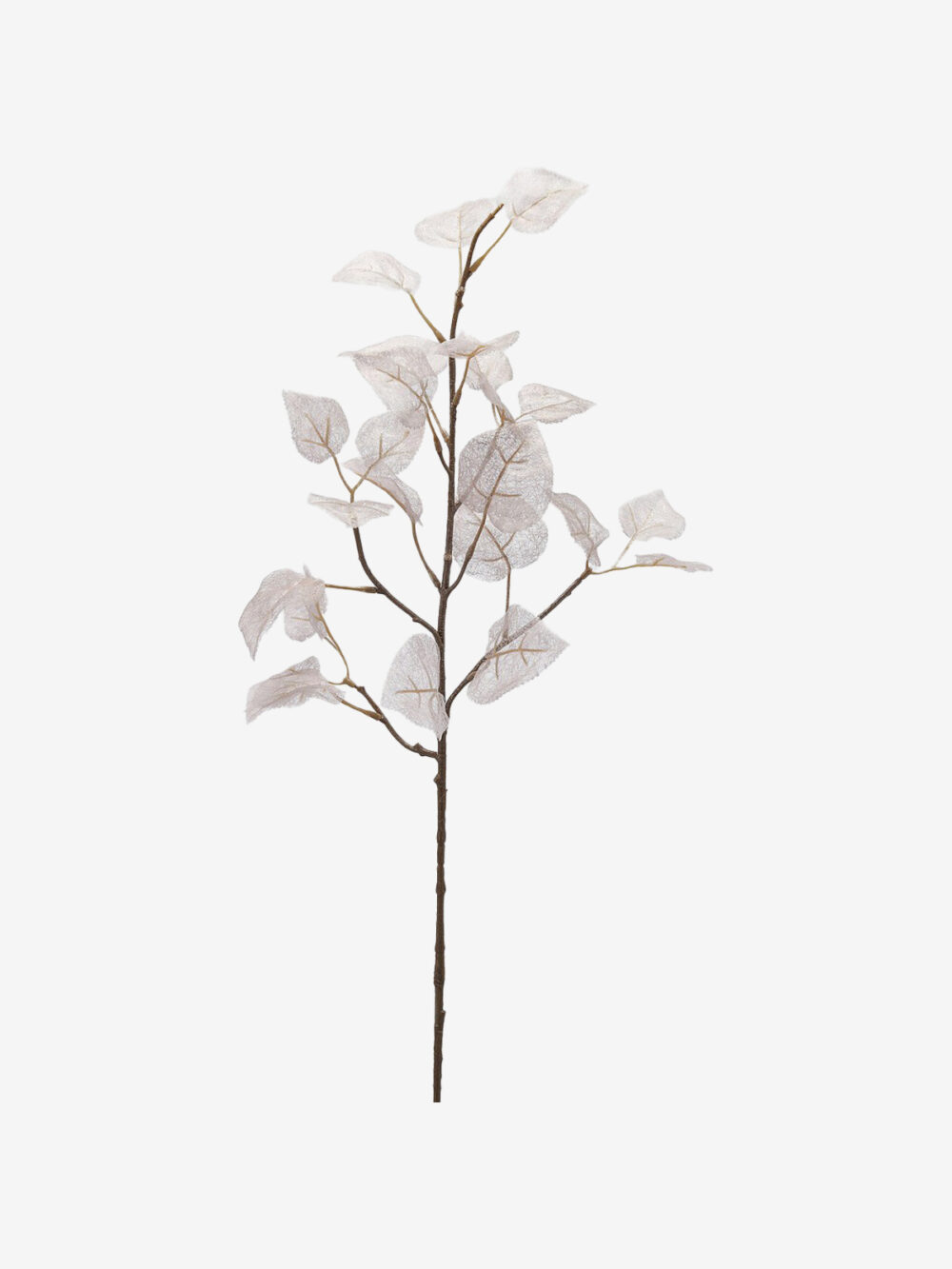 Vejica Edg listki Rose - Image 1