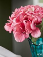 Edg Hortenzija Olis Ramo - Image 2