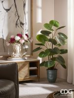 Edg Potonika Olis Ramo - Image 5