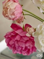 Edg Potonika Olis Ramo - Image 2