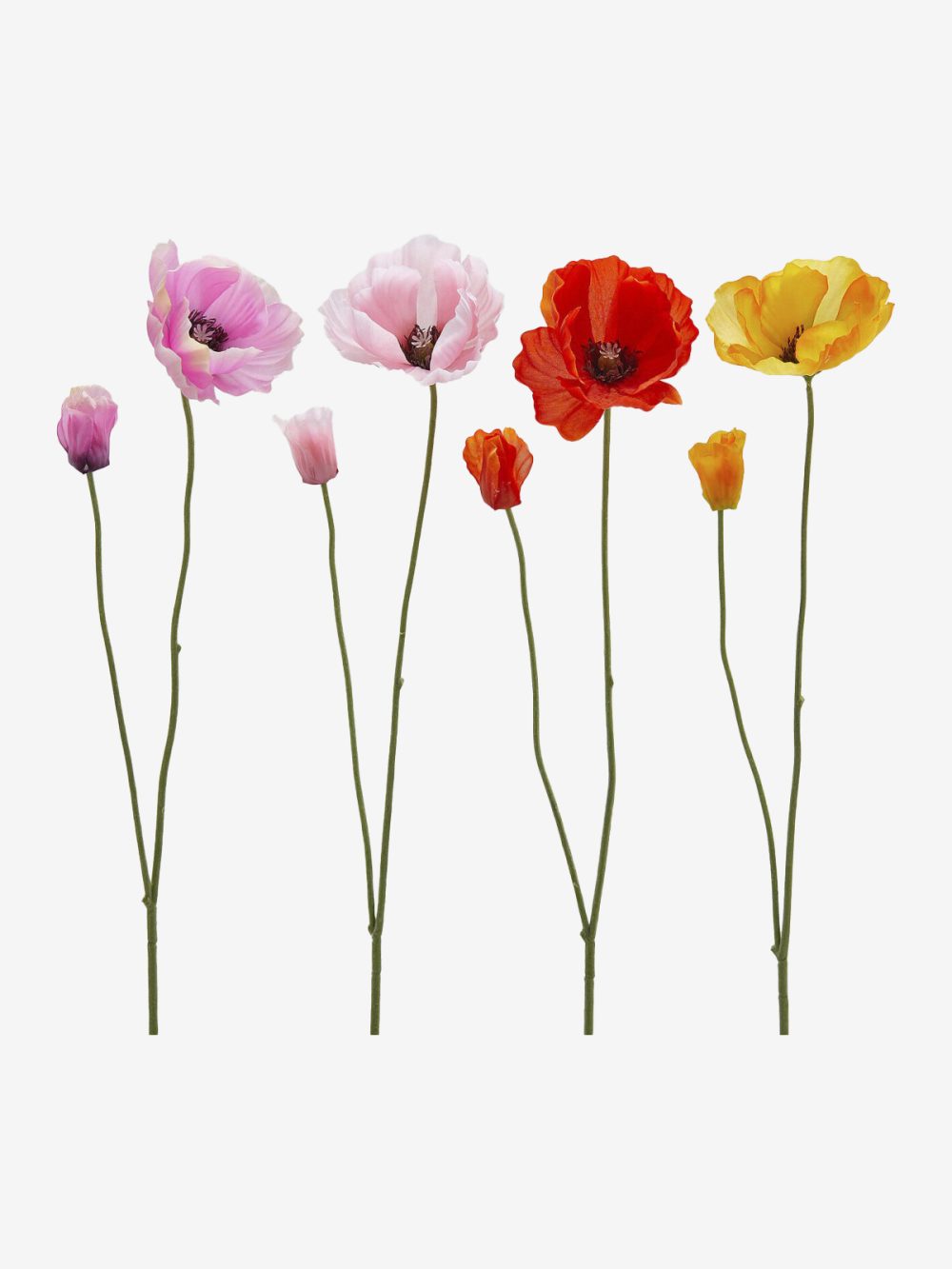 Edg Vejica Mak - Image 1