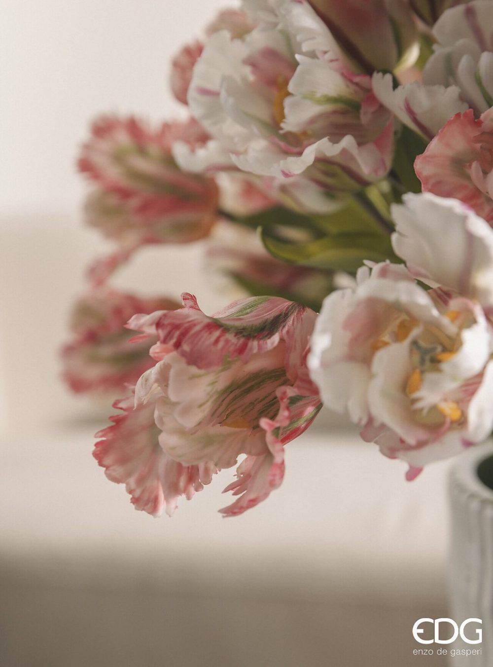 Edg Tulipani - Image 2