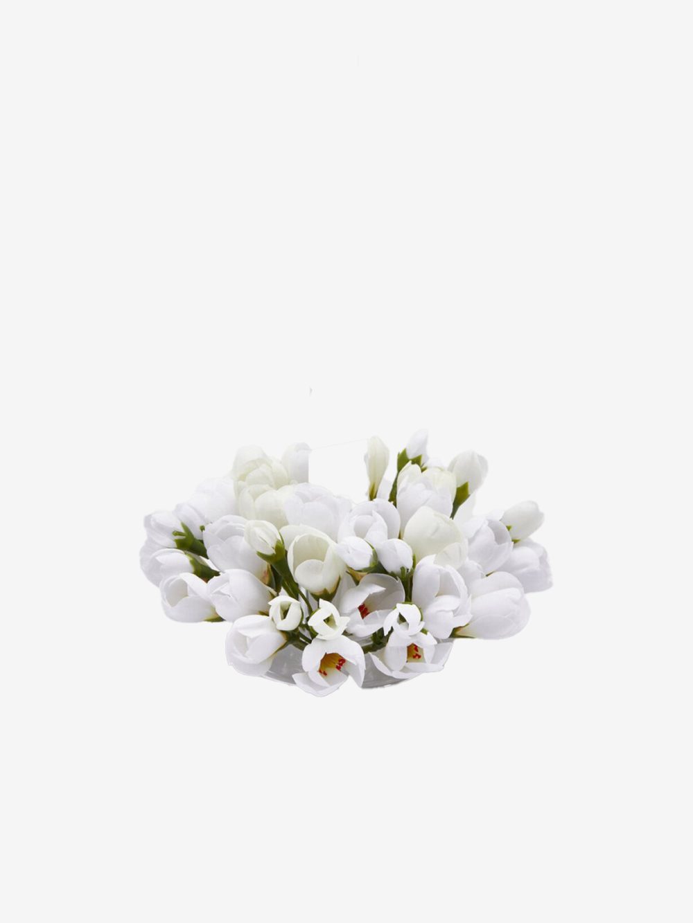 Edg Venček Crocus - Image 1